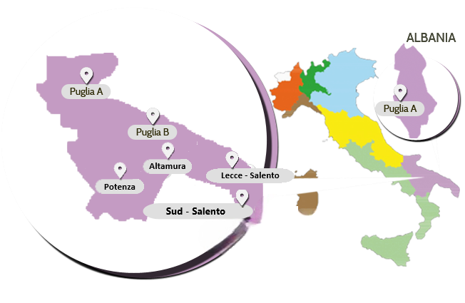 Sud Est