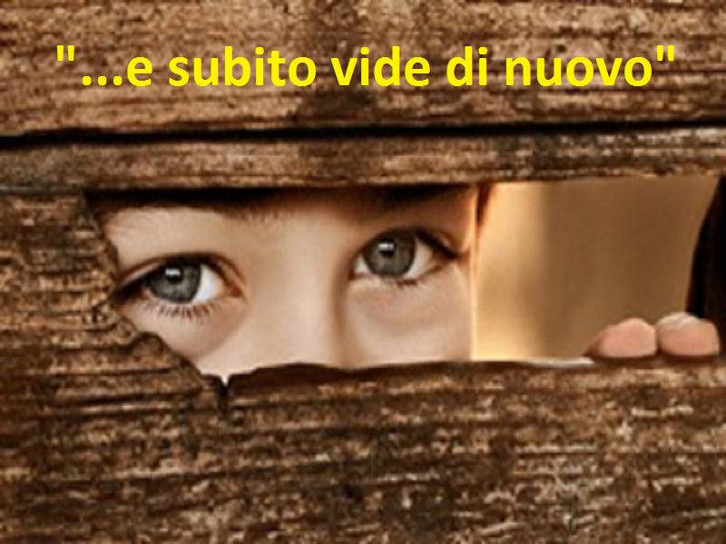 SESSIONE REGIONALE NEA e NEB: "E SUBITO VIDE DI NUOVO"