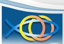 Newsletter n. 22