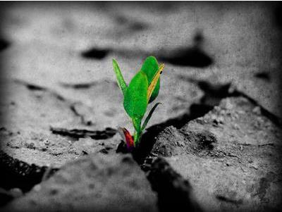 SESSIONE ESTIVA 2016 - ABITARE LA SPERANZA, ACCOGLIERE IL FUTURO