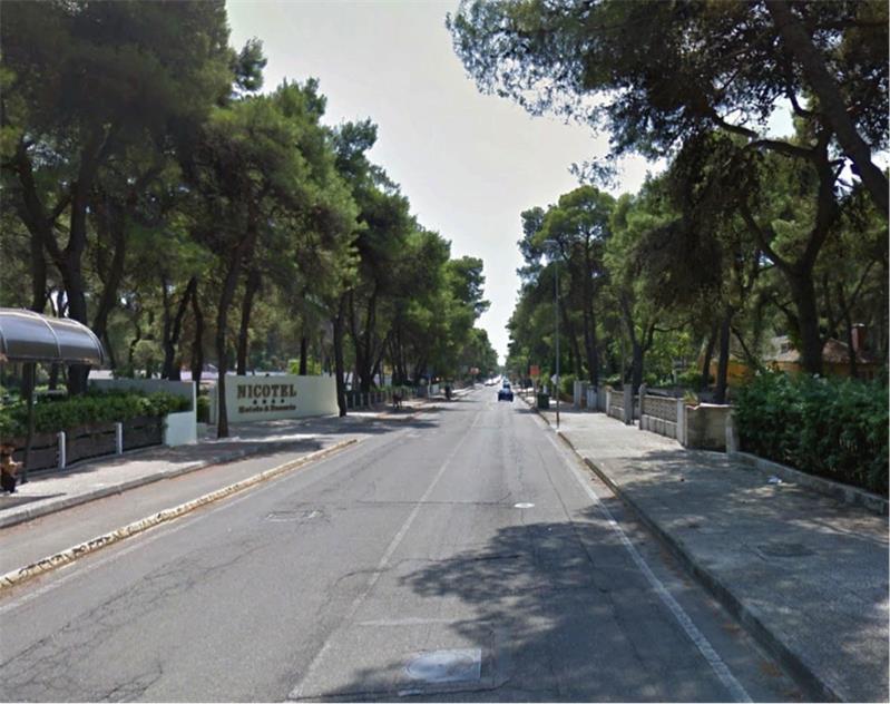 Giornata Intersettore Altamura-Potenza - Puglia A - Puglia B
