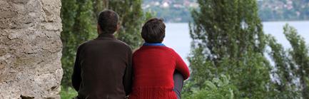 RIFLESSIONI  DEI SETTORI ROMANI SUL DdS