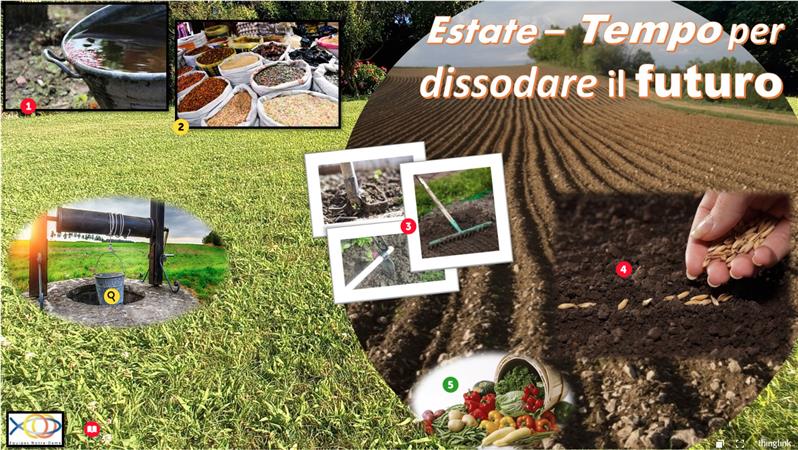 SESSIONE ESTIVA 2020 - Estate: tempo per dissodare il futuro
