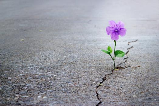 Ritiro Spirituale - Solo in Dio riposa l’anima mia: da lui la mia speranza